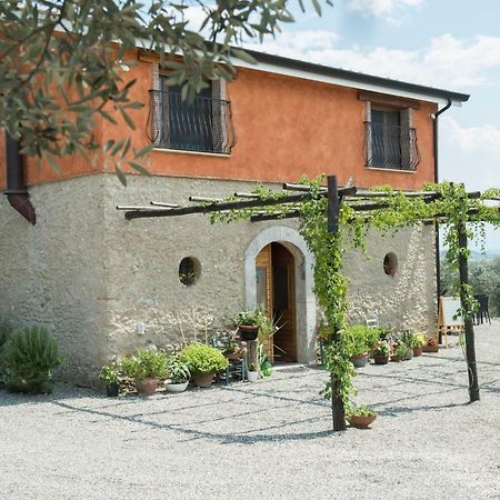 קמפניה B&B Rifugio Tra Gli Ulivi מראה חיצוני תמונה