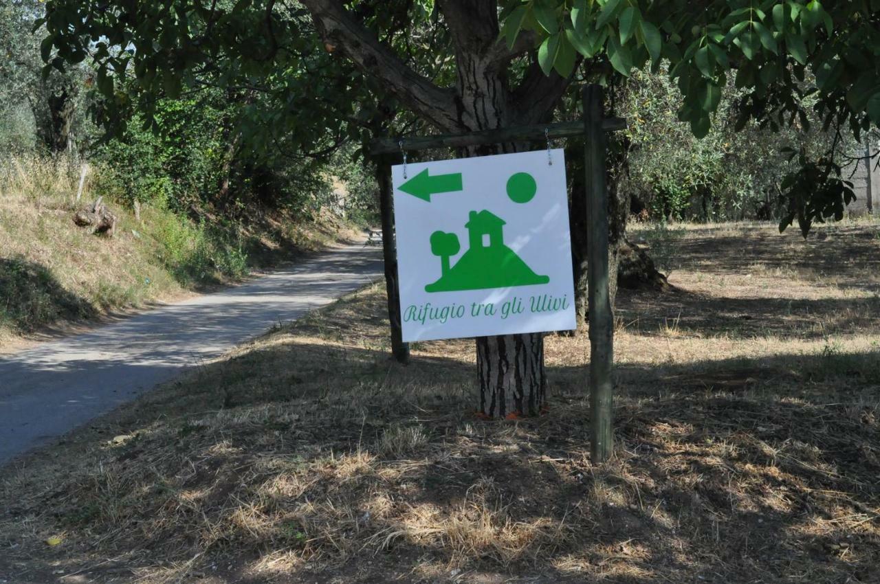 קמפניה B&B Rifugio Tra Gli Ulivi מראה חיצוני תמונה