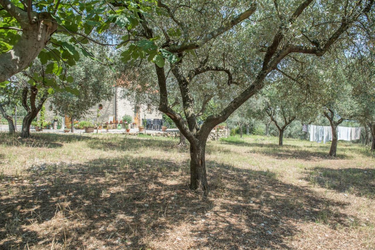 קמפניה B&B Rifugio Tra Gli Ulivi מראה חיצוני תמונה
