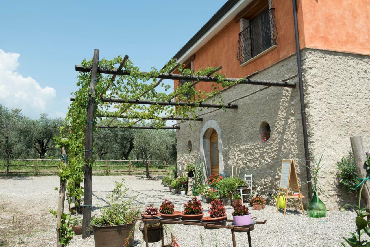 קמפניה B&B Rifugio Tra Gli Ulivi מראה חיצוני תמונה