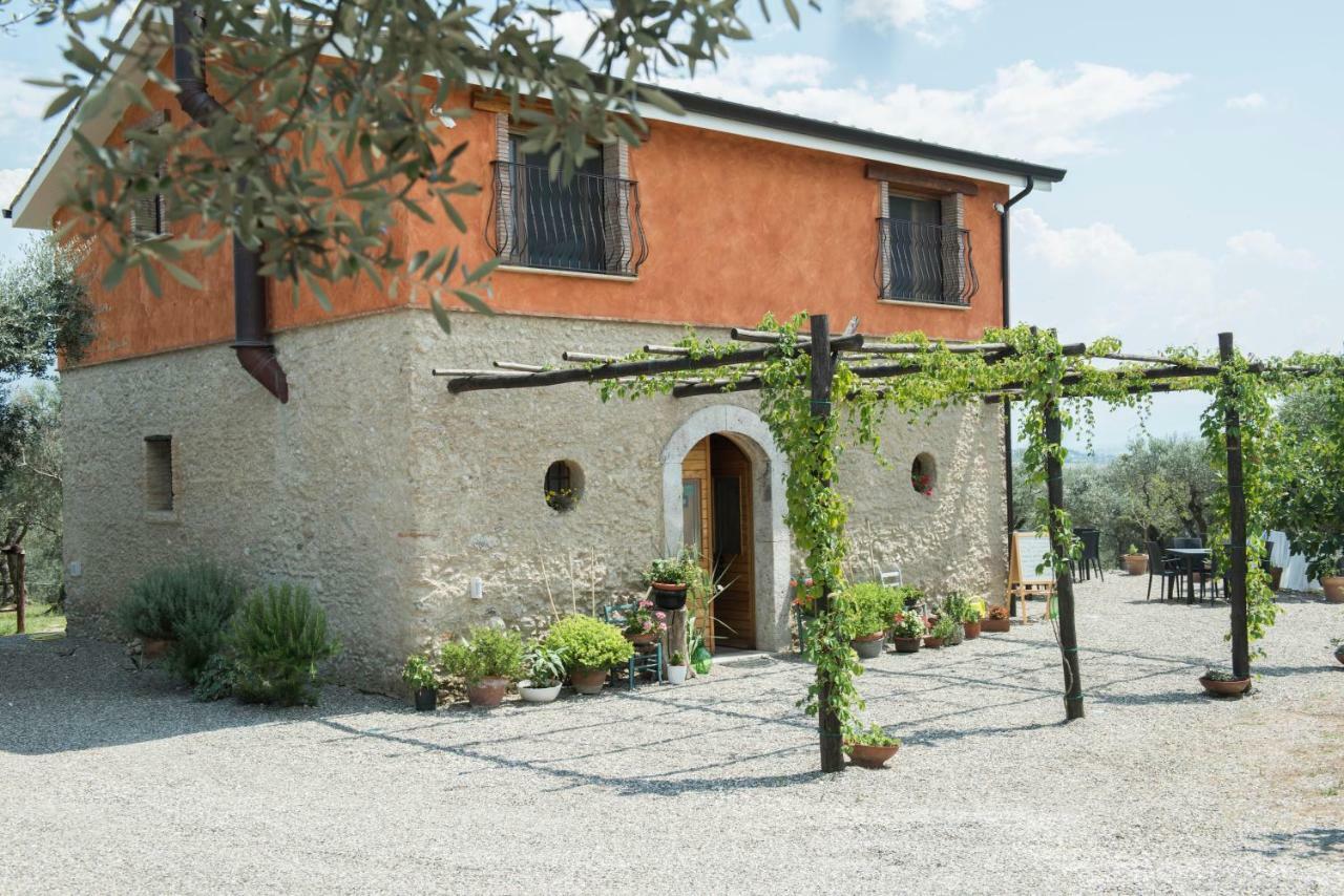 קמפניה B&B Rifugio Tra Gli Ulivi מראה חיצוני תמונה