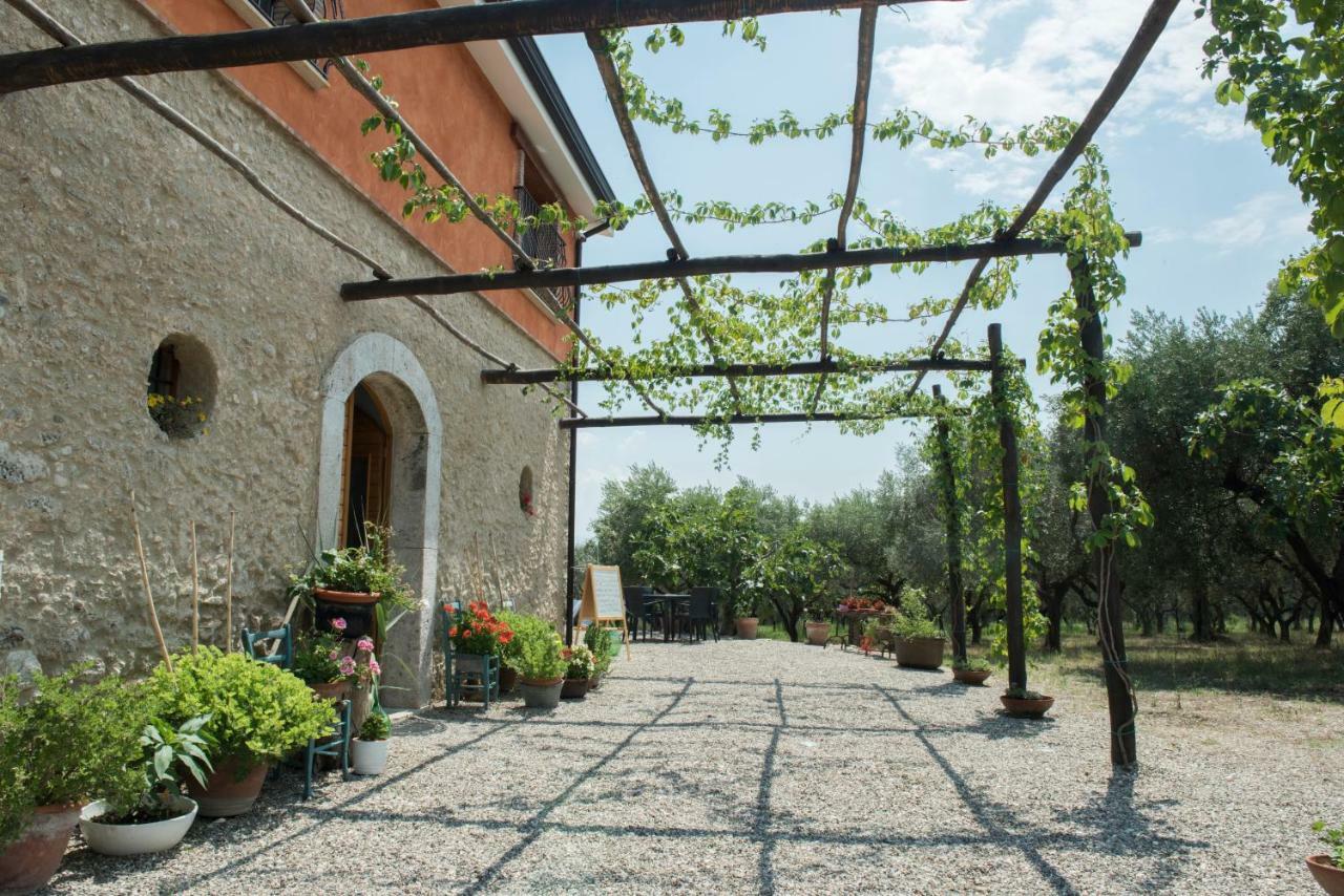 קמפניה B&B Rifugio Tra Gli Ulivi מראה חיצוני תמונה