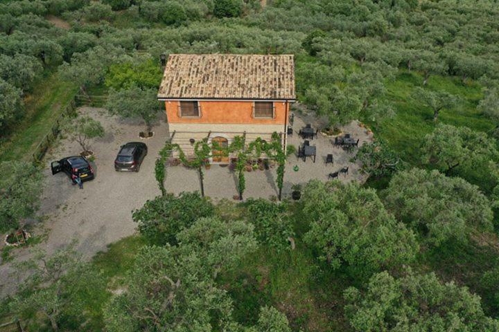 קמפניה B&B Rifugio Tra Gli Ulivi מראה חיצוני תמונה