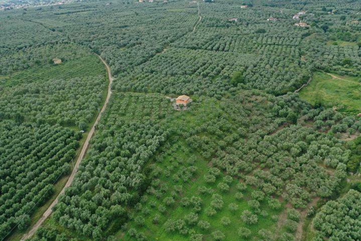קמפניה B&B Rifugio Tra Gli Ulivi מראה חיצוני תמונה