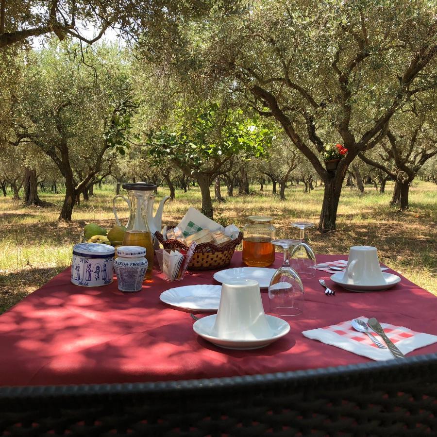 קמפניה B&B Rifugio Tra Gli Ulivi מראה חיצוני תמונה